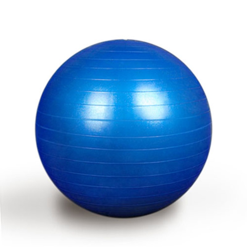 Excentriek Temerity Onbevredigend Universele Gymbal 85 cm | Gymballen, fitnessballen en zitballen -  hoelahoepwinkel.nl